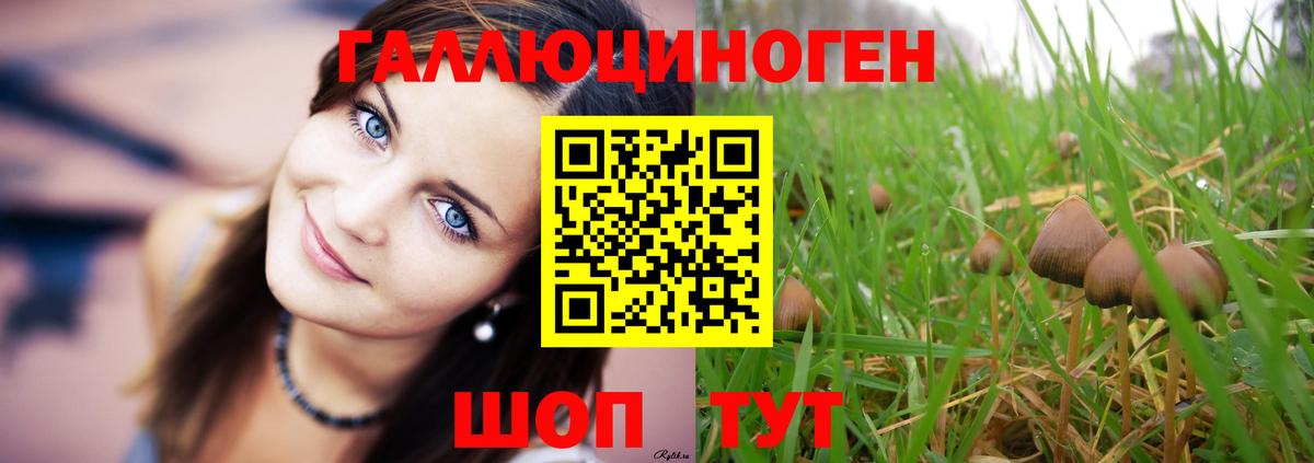 Псилоцибиновые грибы ЛСД  Вход с VPN  Иваново 
